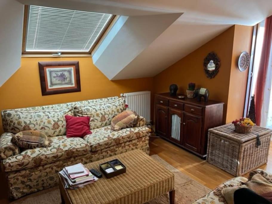 Atractivo Atico 2 Habitaciones 비야비시오사 외부 사진
