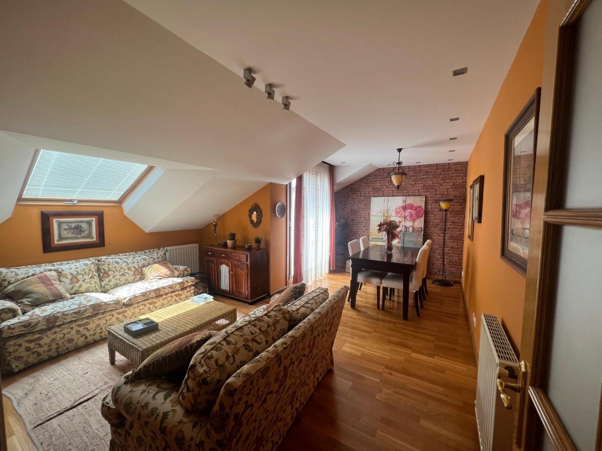 Atractivo Atico 2 Habitaciones 비야비시오사 외부 사진